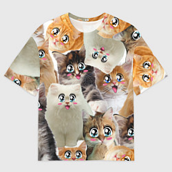 Мужская футболка оверсайз Много кошек с большими анимэ глазами