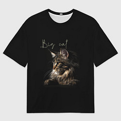 Футболка оверсайз мужская Big cat Maine Coon, цвет: 3D-принт