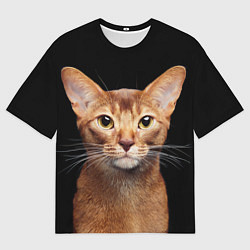 Футболка оверсайз мужская Молодая абиссинская кошечка, цвет: 3D-принт