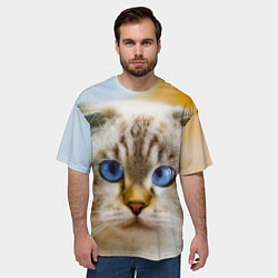 Футболка оверсайз мужская Кошка породы шотландская вислоухая косоглазая, цвет: 3D-принт — фото 2