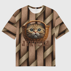 Футболка оверсайз мужская Кошка лукошка мем, цвет: 3D-принт