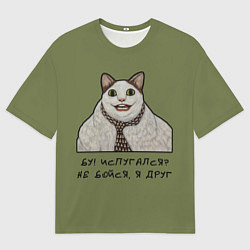 Футболка оверсайз мужская Кот Бу - мем, цвет: 3D-принт