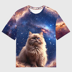 Футболка оверсайз мужская Гималайская кошка в космосе, цвет: 3D-принт
