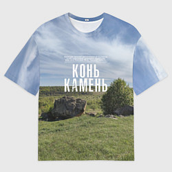 Футболка оверсайз мужская Конь-Камень на Красивой Мече, цвет: 3D-принт