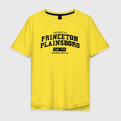 Футболка оверсайз мужская Princeton Plainsboro, цвет: желтый