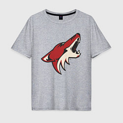 Футболка оверсайз мужская Phoenix Coyotes, цвет: меланж