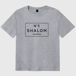 Футболка оверсайз мужская SHALOM, цвет: меланж