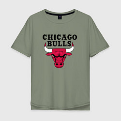 Футболка оверсайз мужская Chicago Bulls, цвет: авокадо