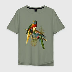 Футболка оверсайз мужская Тропические попугаи, цвет: авокадо