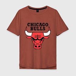 Футболка оверсайз мужская Chicago Bulls, цвет: кирпичный