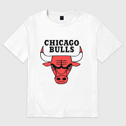 Футболка оверсайз мужская Chicago Bulls, цвет: белый