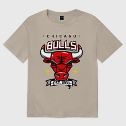 Футболка оверсайз мужская Chicago Bulls est. 1966, цвет: миндальный