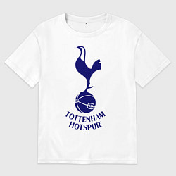 Футболка оверсайз мужская Tottenham FC, цвет: белый