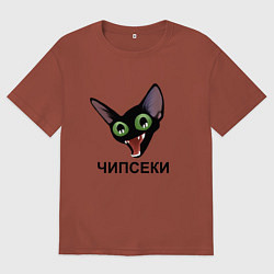 Футболка оверсайз мужская Чипсеки: кот-мем, цвет: кирпичный