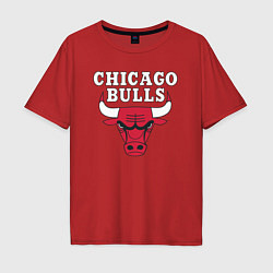 Футболка оверсайз мужская CHICAGO BULLS, цвет: красный