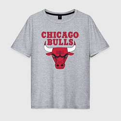 Футболка оверсайз мужская CHICAGO BULLS, цвет: меланж