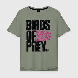 Футболка оверсайз мужская Birds of Prey logo, цвет: авокадо