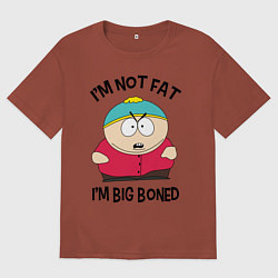 Футболка оверсайз мужская Я не толстый, цвет: кирпичный