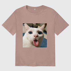 Футболка оверсайз мужская Мем про кота, цвет: пыльно-розовый
