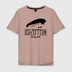 Футболка оверсайз мужская Дирижабль Led Zeppelin с лого участников, цвет: пыльно-розовый