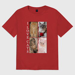 Футболка оверсайз мужская I LOVE CATS Я ЛЮБЛЮ КОШЕК, цвет: красный
