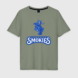 Футболка оверсайз мужская Tennessee smokies - baseball team, цвет: авокадо