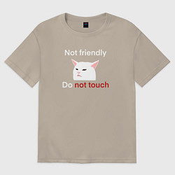 Футболка оверсайз мужская Not friendly, do not touch, текст с мемным котом, цвет: миндальный