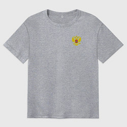 Футболка оверсайз мужская Герб, цвет: меланж