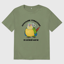 Футболка оверсайз мужская Начальник всякой фигни, цвет: авокадо