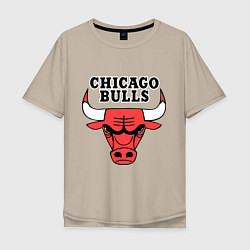 Футболка оверсайз мужская Chicago Bulls, цвет: миндальный