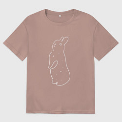 Футболка оверсайз мужская Волшебный кролик и звезды, цвет: пыльно-розовый