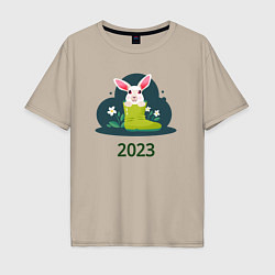 Мужская футболка оверсайз Заяц в сапоге 2023