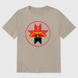 Футболка оверсайз мужская Завьяловский район, цвет: миндальный