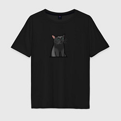Футболка оверсайз мужская Разочарованный кот, цвет: черный