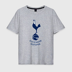 Футболка оверсайз мужская Tottenham Hotspur fc sport, цвет: меланж