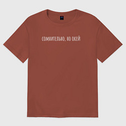 Футболка оверсайз мужская Сомнительно но окей белый, цвет: кирпичный