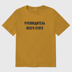 Мужская футболка оверсайз Руководитель всего этого