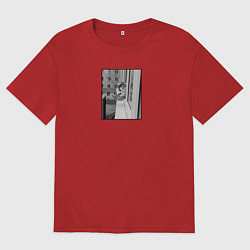 Футболка оверсайз мужская Недовольный котик фак, цвет: красный