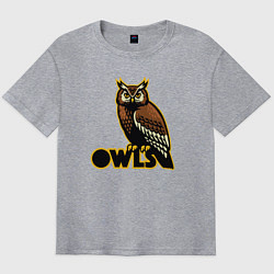 Футболка оверсайз мужская Owls, цвет: меланж