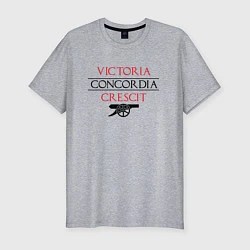 Футболка slim-fit Arsenal: Concordia Crescit, цвет: меланж