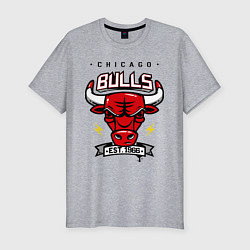 Мужская slim-футболка Chicago Bulls est. 1966