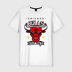 Мужская slim-футболка Chicago Bulls est. 1966