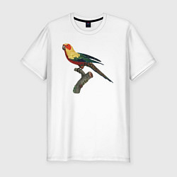 Мужская slim-футболка Попугай аратинга