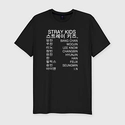 Мужская slim-футболка Stray Kids