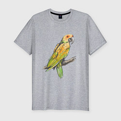Мужская slim-футболка Любимый попугай