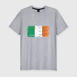 Футболка slim-fit Флаг Ирландии, цвет: меланж