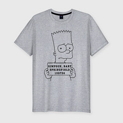 Футболка slim-fit Simpson, Bart, Springfield, 159736, цвет: меланж