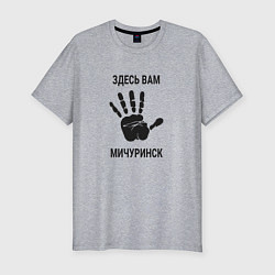 Футболка slim-fit Здесь вам Мичуринск, цвет: меланж