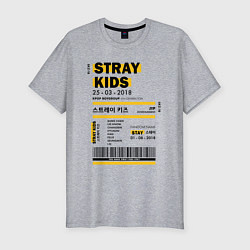 Футболка slim-fit Stray kids ticket, цвет: меланж