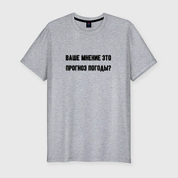 Футболка slim-fit Мнение это прогноз погоды, цвет: меланж